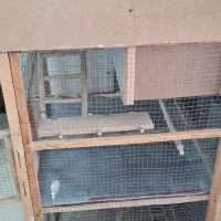 قفس بزرگ مخصوص|لوازم جانبی حیوانات|تهران, تهرانسر شمالی|دیوار