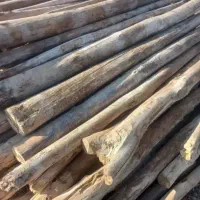 خرید فروش انواع چوب