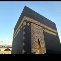 فروش فیش عمره