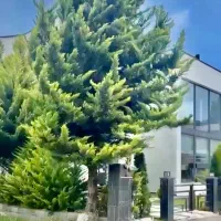 زمین واقع رو شهر رویان