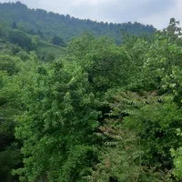 اجاره ویلاکنار رودخانه درقلعه رودخان