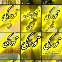 پیج تبریز با ۳۵ هزار نفر فالور واقعی ترک و تبریزی|لوازم جانبی موبایل و تبلت|تبریز, |دیوار