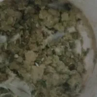 کودکبوتر