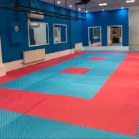 اجاره فضا جهت خدمات ماساژ پیرسینگ پدیکور تتو و..