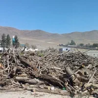 استخدام نگهبان