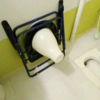 دستوشی فرنگی