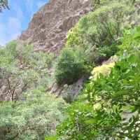 کار ساعتی.  نیاز داریم دو نفر یم اقا