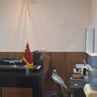 فروش مغازه پاساژ ماد طلافروش ها جوانرود 36 متر|فروش مغازه و غرفه|جوانرود, |دیوار