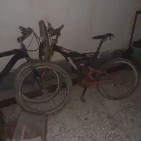 دوچرخه ۲۴|دوچرخه، اسکیت، اسکوتر|گنبد کاووس, |دیوار