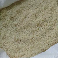 برنج دمسیاه درجه یک|خوردنی و آشامیدنی|مینودشت, |دیوار