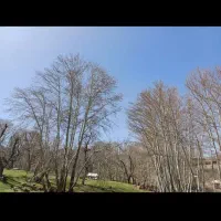 زمین باغی همایجان رودبال