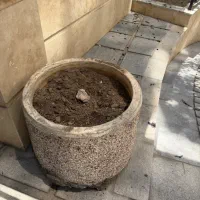 گلدان بتنی