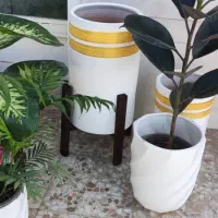 گیاه و گلدان|گل و گیاه طبیعی|اهواز, کوروش|دیوار