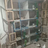 قفص پنج طبقه هرطبقه ۲ردیف