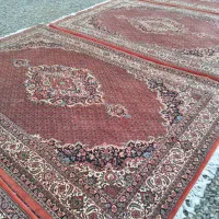 قالیشویی البرز(باضمانت)