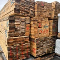 درخت صنوبر|خدمات پیشه و مهارت|آستانه اشرفیه, |دیوار