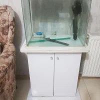 آکواریوم ماهیران|ماهی|تهران, سازمان برنامه جنوبی|دیوار