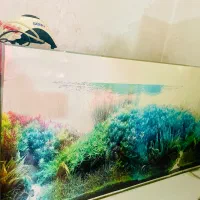 آکواریوم ماهی