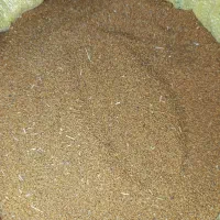 بذر کاملینا|گل و گیاه طبیعی|کلاله, |دیوار