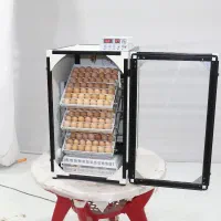 دستگاه جوجه کشی 168 تایی+ارسال مستقیم از کارخانه