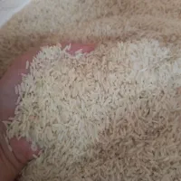 برنج طارم|خوردنی و آشامیدنی|قرچک, زیبا شهر|دیوار