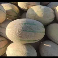خیار|خوردنی و آشامیدنی|تهران, منیریه|دیوار