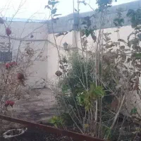 باغچه-فروشی