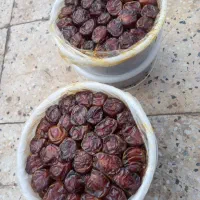 خرما برحی درشت