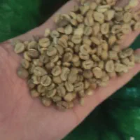 پخش قهوه و پودریجات گلد کلاسیک  اسپرسو