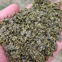 کنجاله کلزا کارگاهی