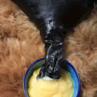 روغن حیوانی کرمانشاهی