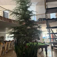 خانه ویلایی