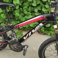 دوچرخه ویوا حرفه‌ای