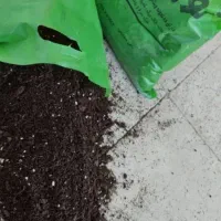 گل بامبو کلکسیونی|کلکسیون اشیاء عتیقه|بروجرد, |دیوار