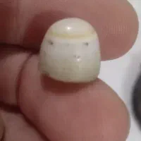 تسبیح و حجر کریمه|بدلیجات|اهواز, کوی علوی|دیوار