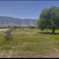 زمین