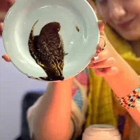 فال موکل دار(قهوه، تاروت)