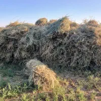 یونجه