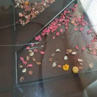 نیز ناهارخوری