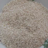 نیم دانه