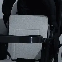 کالسکه دوقلویی دلیجان