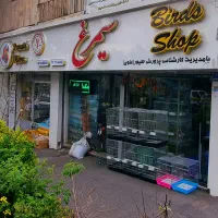 استخدام فروشنده پرنده با تجربه