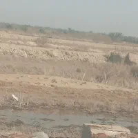 زمین-مهدیس-زمین-های-نیسی