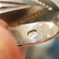 انگشتر نقره شجر بهار کلکسیونی مهر دار|جواهرات|رشت, گلسار|دیوار