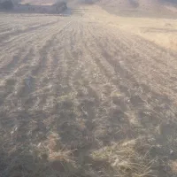 فروش ی قطعه زمین در روستای قلعه جوق