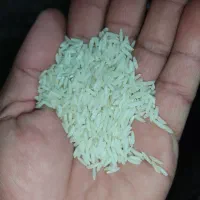 ۵۶۰ کیلو برنج دم‌سیاه فی ۵۰۰ وسرلاشه