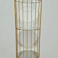 استند کنارسالنی