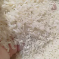 برنج ایرانی، بی واسطه از شالیکار بخرید|خوردنی و آشامیدنی|مشهد, عبادی|دیوار