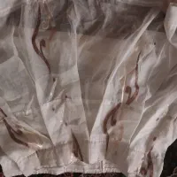 پرده ۱۰۸پهنا ۶۱قد