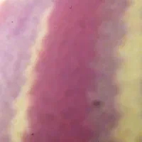 معاوضه ۱۲متری با ۶متر